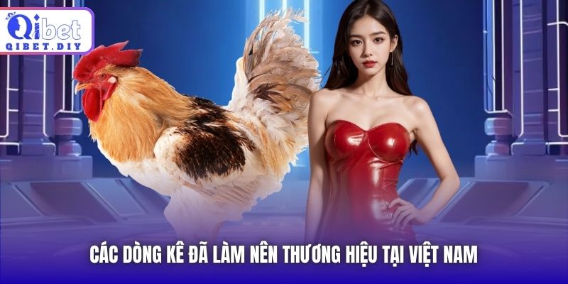 Các dòng kê đã làm nên thương hiệu tại Việt Nam