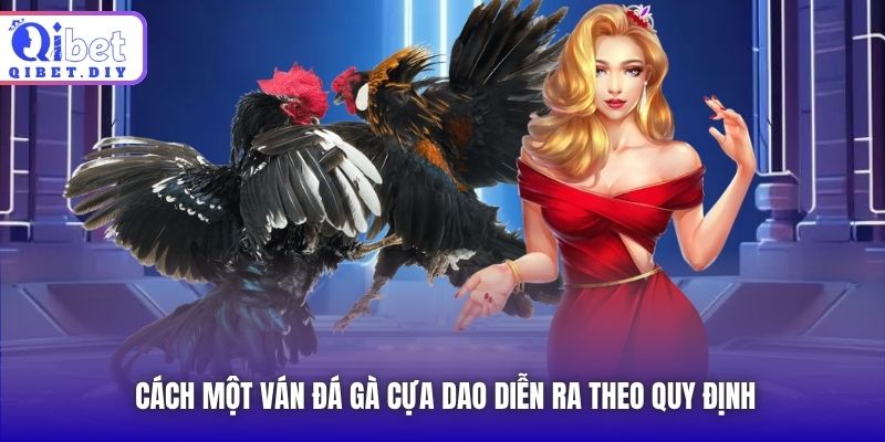 Cách một ván đá gà cựa dao diễn ra theo quy định
