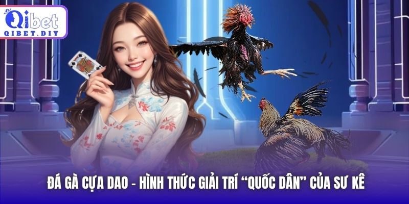 Đá gà cựa dao - Hình thức giải trí “quốc dân” của sư kê