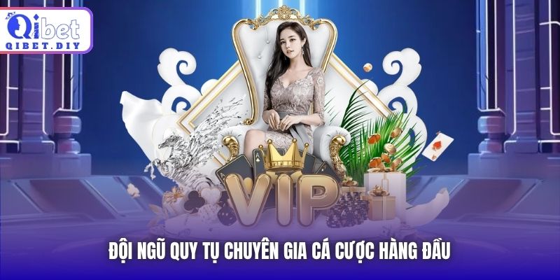 Đội ngũ quy tụ chuyên gia cá cược hàng đầu