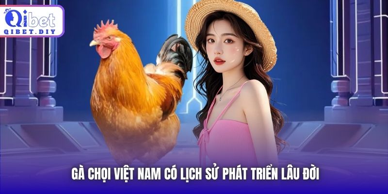 Gà chọi Việt Nam có lịch sử phát triển lâu đời