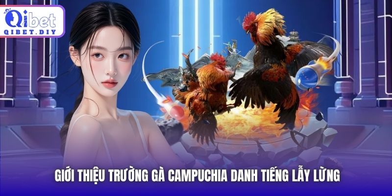 Giới thiệu trường gà Campuchia danh tiếng lẫy lừng
