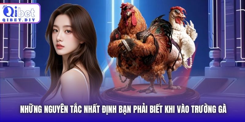 Những nguyên tắc nhất định bạn phải biết khi vào trường gà
