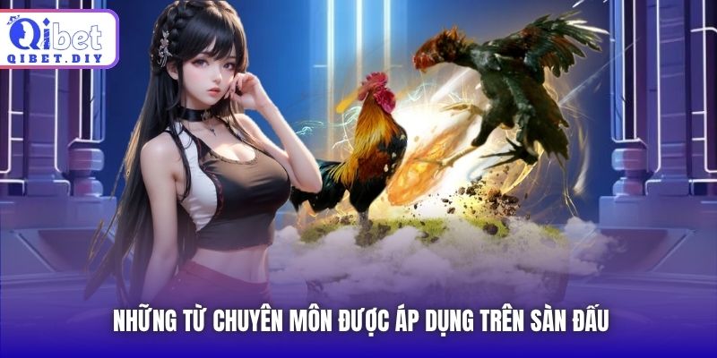 Những từ chuyên môn được áp dụng trên sàn đấu