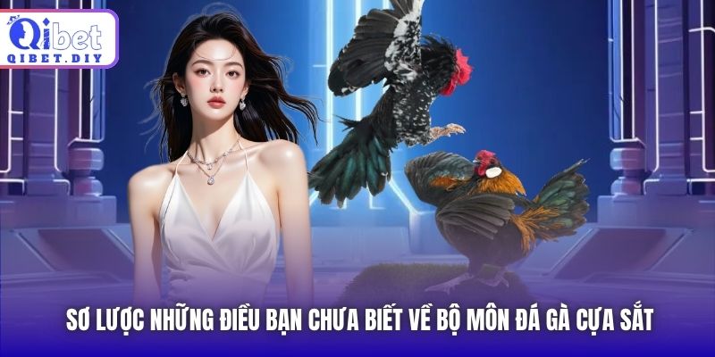 Sơ lược những điều bạn chưa biết về bộ môn đá gà cựa sắt
