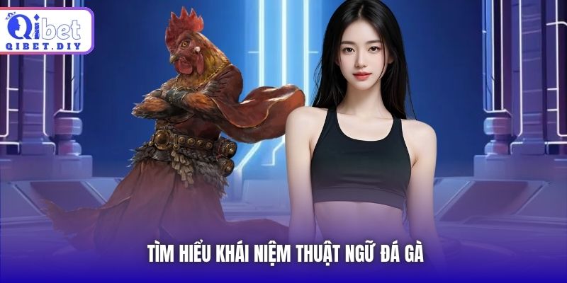 Tìm hiểu khái niệm thuật ngữ đá gà