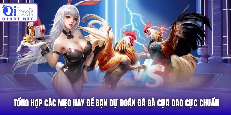 Tổng hợp các mẹo hay để bạn dự đoán đá gà cựa dao cực chuẩn